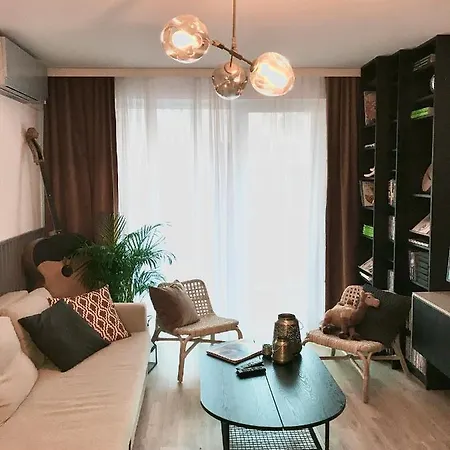 Point By Zoom * Pozsony